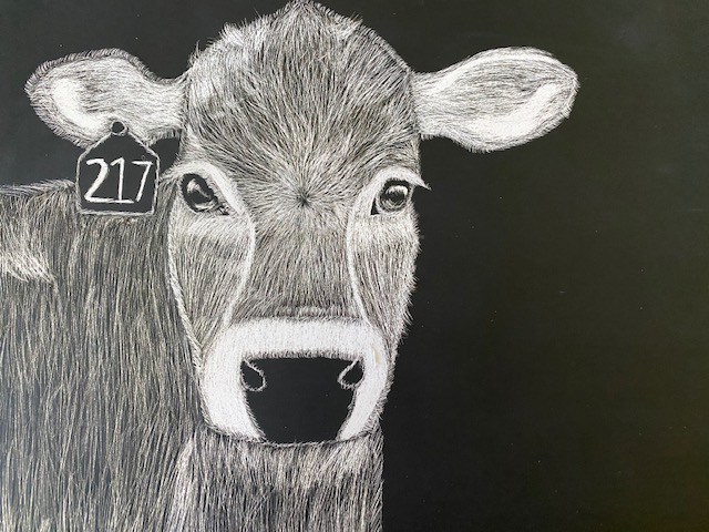 cow